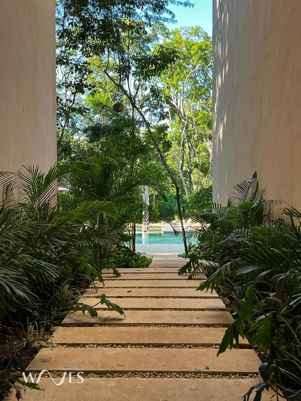 Day, Garden, Garden view, Pool view
