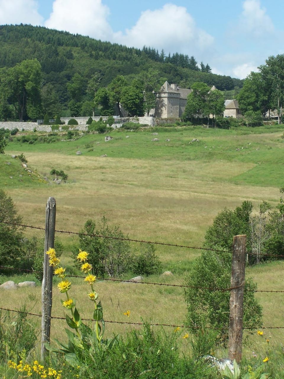 Promo d'été au gîte A l'Abri du Temps House in Occitanie