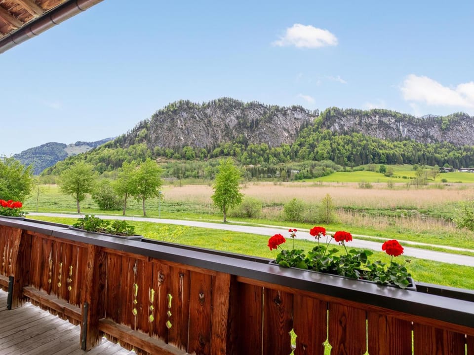 Summer, View (from property/room)