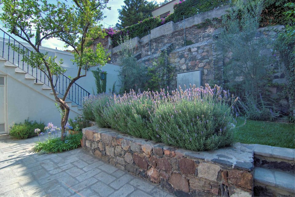 Casa Agave House in San Miguel de Allende