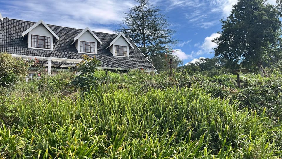 The Orchard Apartment in KwaZulu-Natal