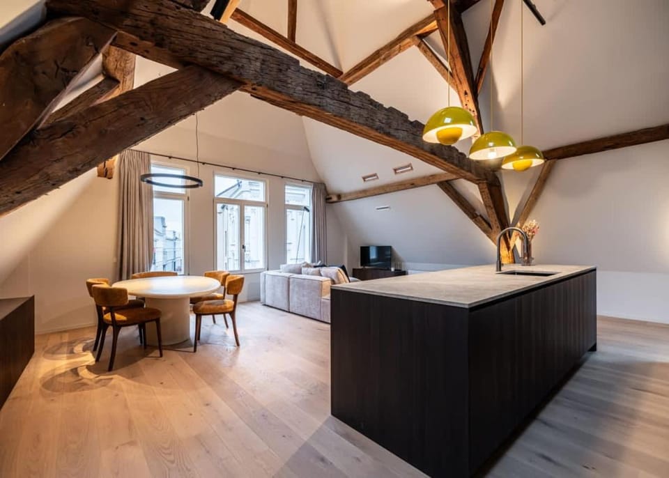 Casiola - City-view loft with wooden beams and mezzanine Apartment in Ghent