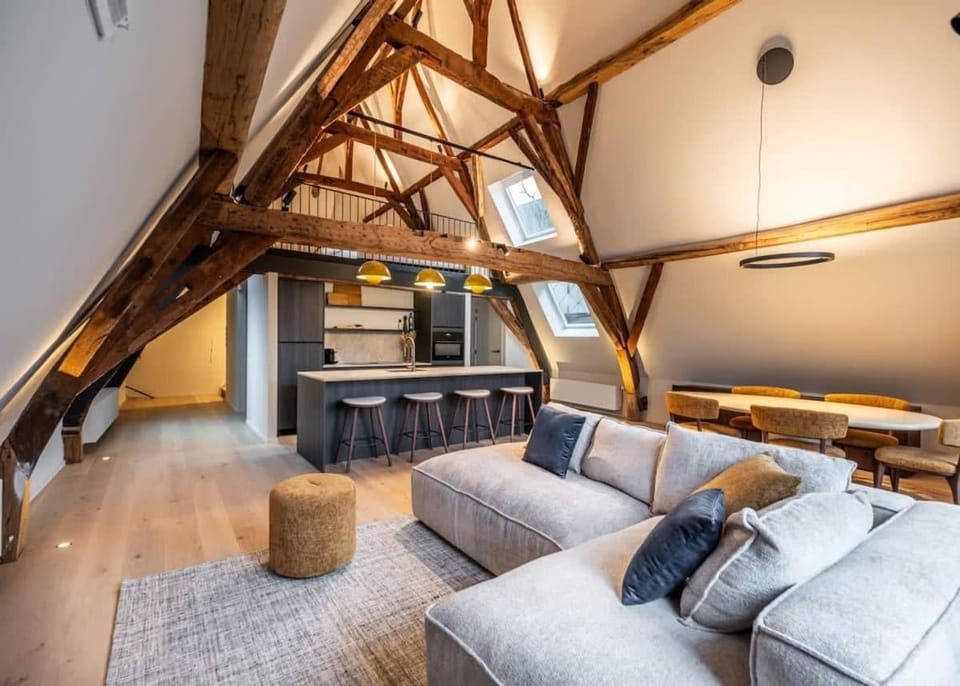 Casiola - City-view loft with wooden beams and mezzanine Apartment in Ghent