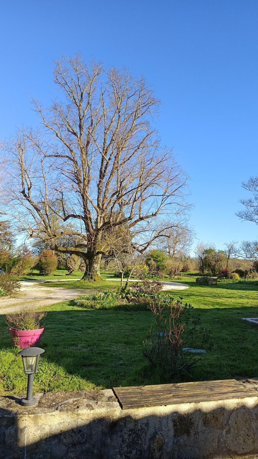 Le Mirelouri Bed and Breakfast in Nouvelle-Aquitaine