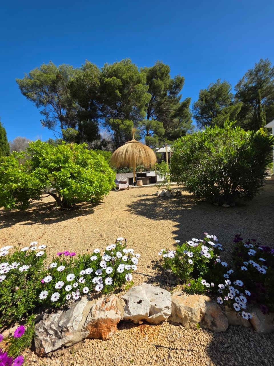 Garden view