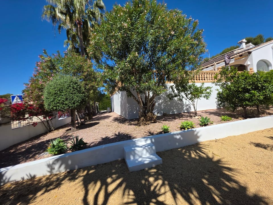 Garden view