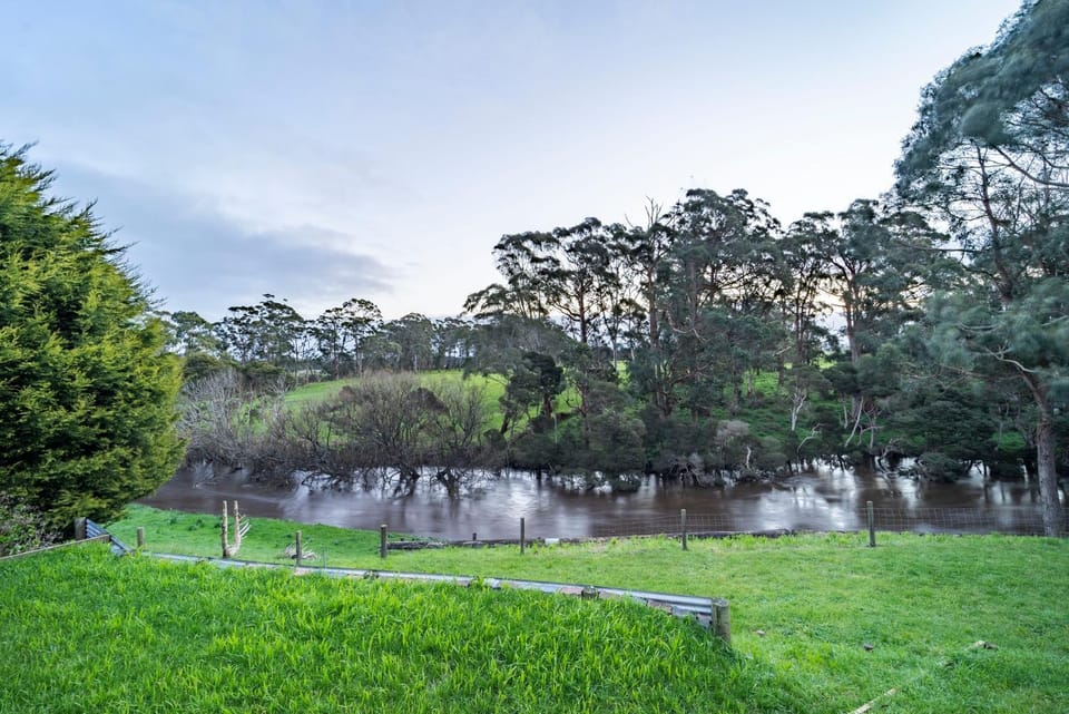 Natural landscape, Garden, Garden view, River view