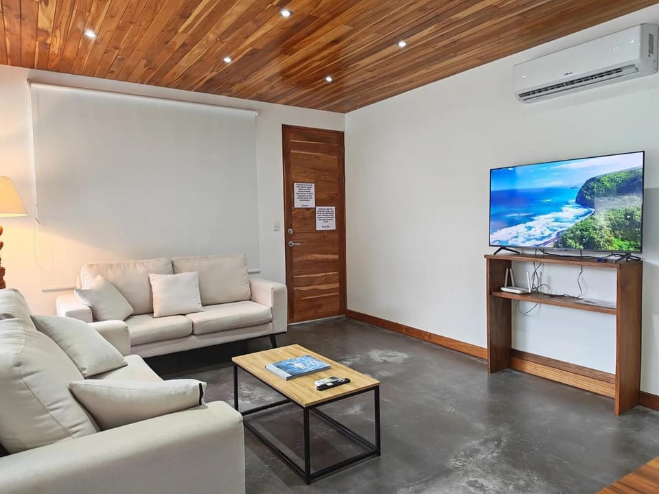 TV and multimedia, Living room, Seating area, air conditioner