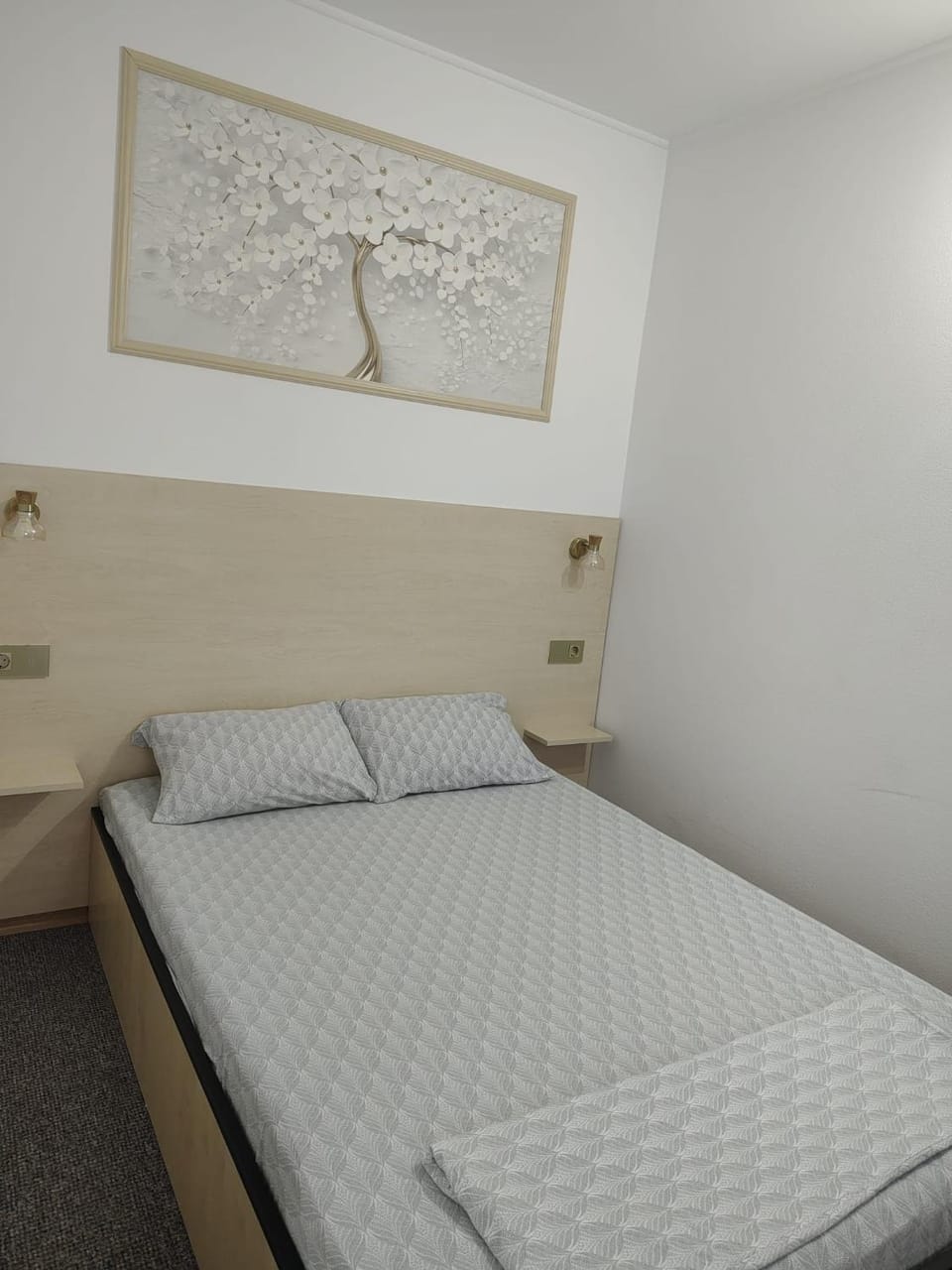 Casa Diadeea Motru Bed and Breakfast in Romania