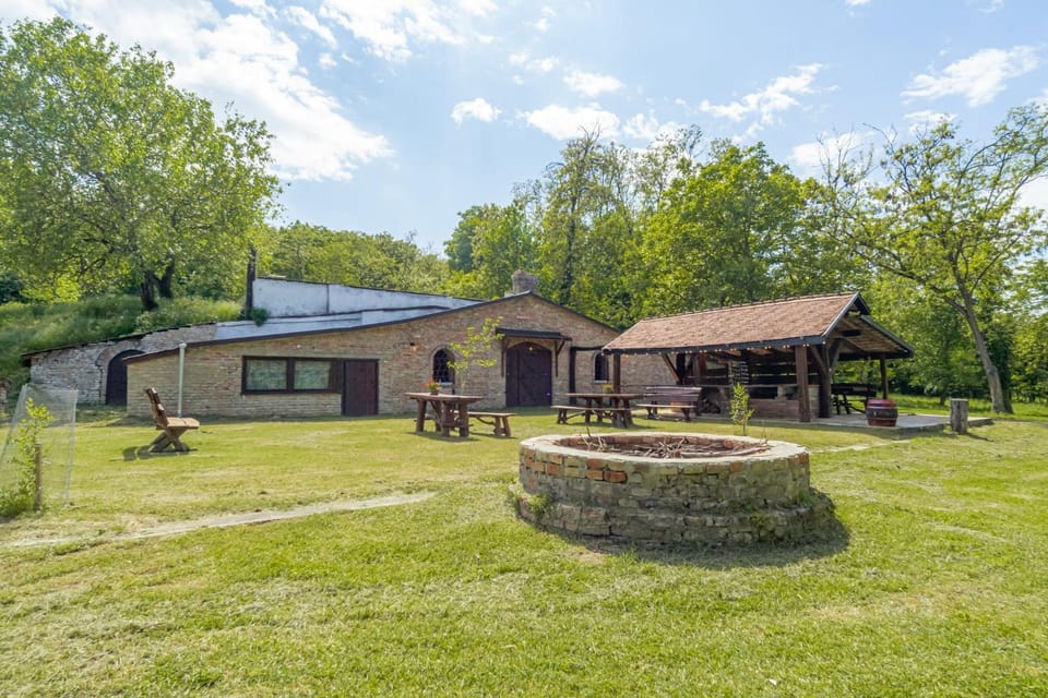 BBQ facilities, Garden