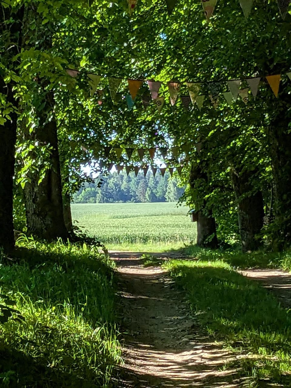 Quiet street view