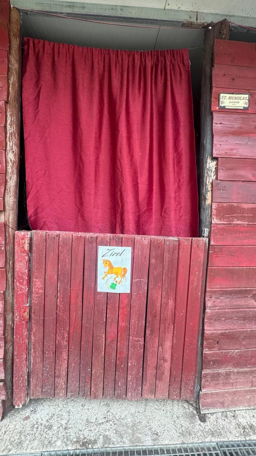 StNicholas Ranch Corfu Wild Camping Farm Stay in Corfu, Greece
