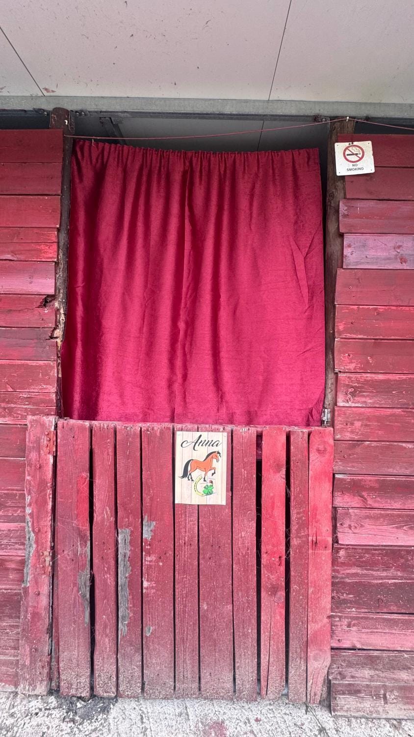 StNicholas Ranch Corfu Wild Camping Farm Stay in Corfu, Greece