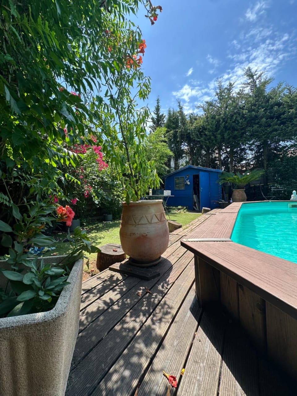 Garden view, Swimming pool