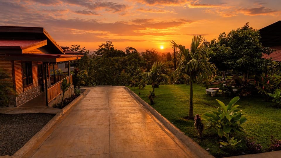 Garden, Garden view, Sunset