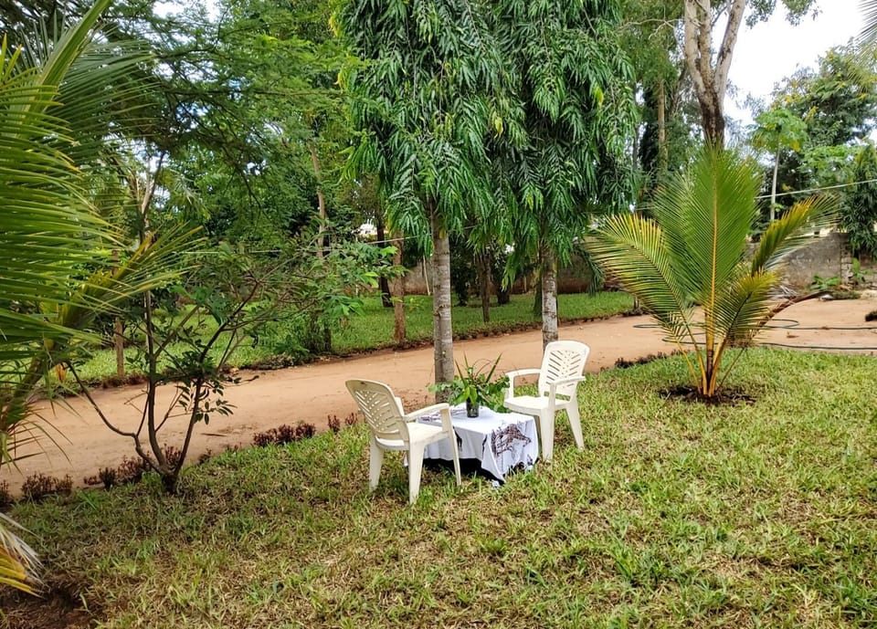 Spring, Day, Garden, Garden view