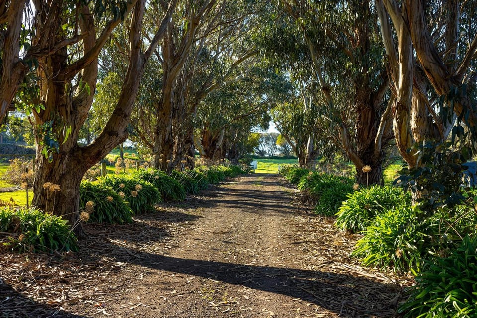 Natural landscape, Garden, Hiking