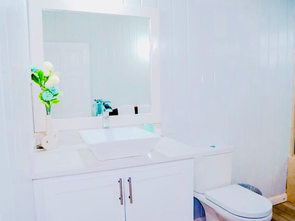 Toilet, Bathroom