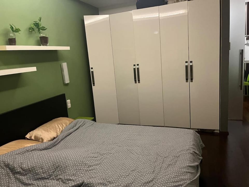 Great Flat Near the City Center Apartment in Brno