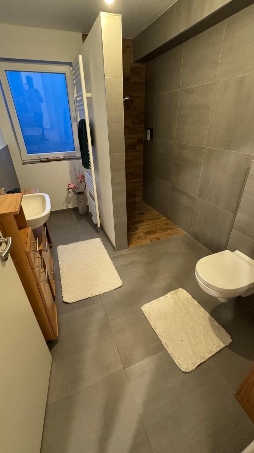 Shower, Toilet, Bathroom, towels