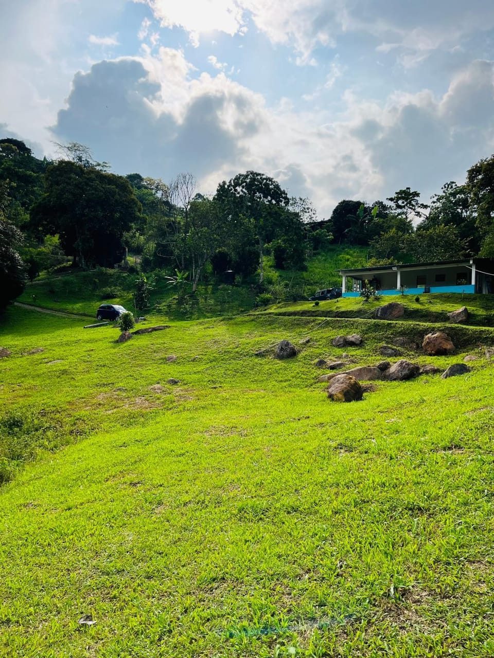 Natural landscape, Garden