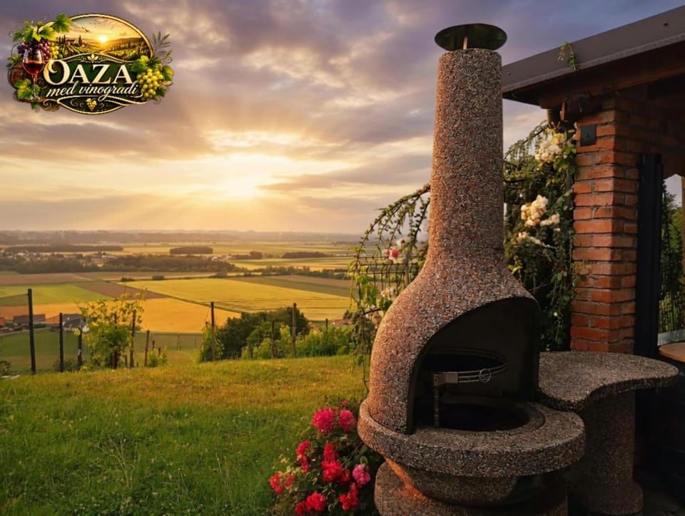 Patio, View (from property/room), Garden view, Sunset, fireplace