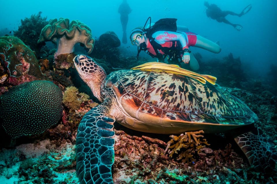 Diving