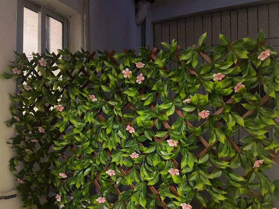 Violet Cordón, 2 bedrooms and garage Apartment in Montevideo Department, Uruguay