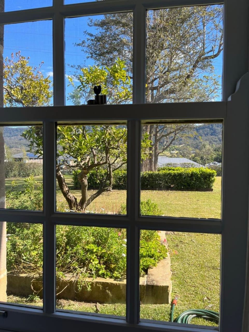 Garden view
