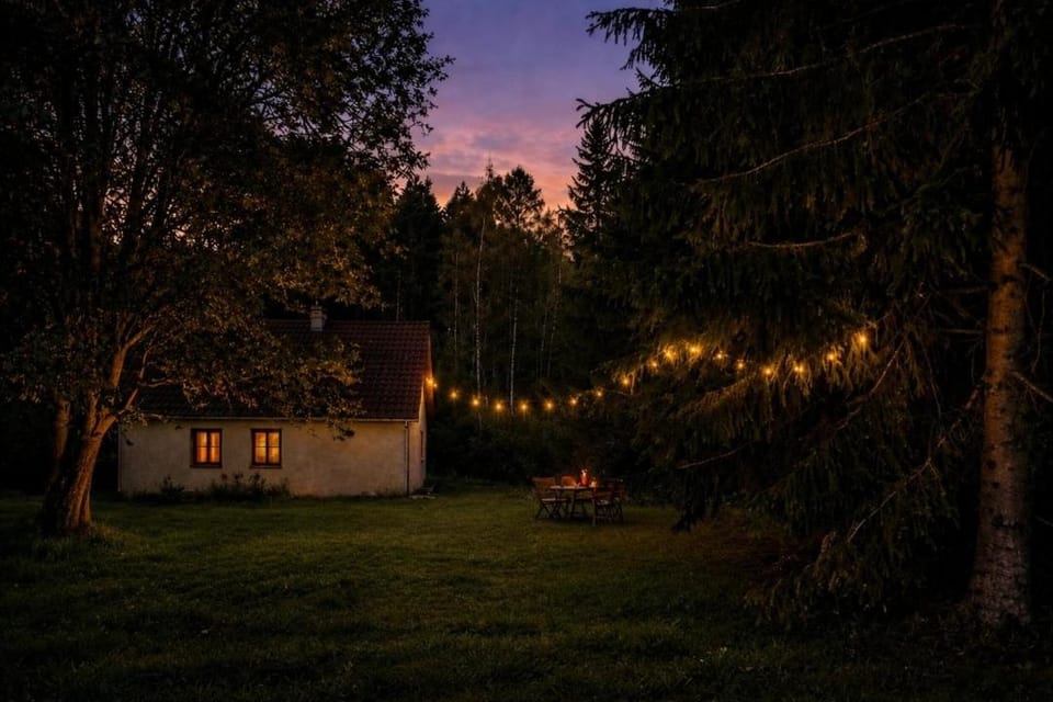 Night, Natural landscape, Garden, Garden view