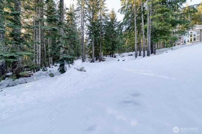 Bigfoot's Basecamp - 4BR Snoqualmie Pass Retreat, Hot Tub, Pets Welcome House in Snoqualmie Pass