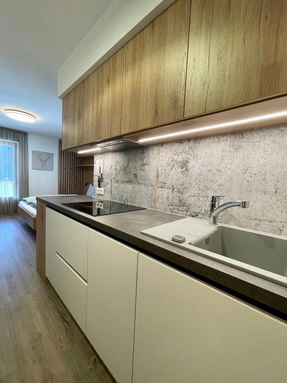 Kitchen or kitchenette, dishwasher, stove