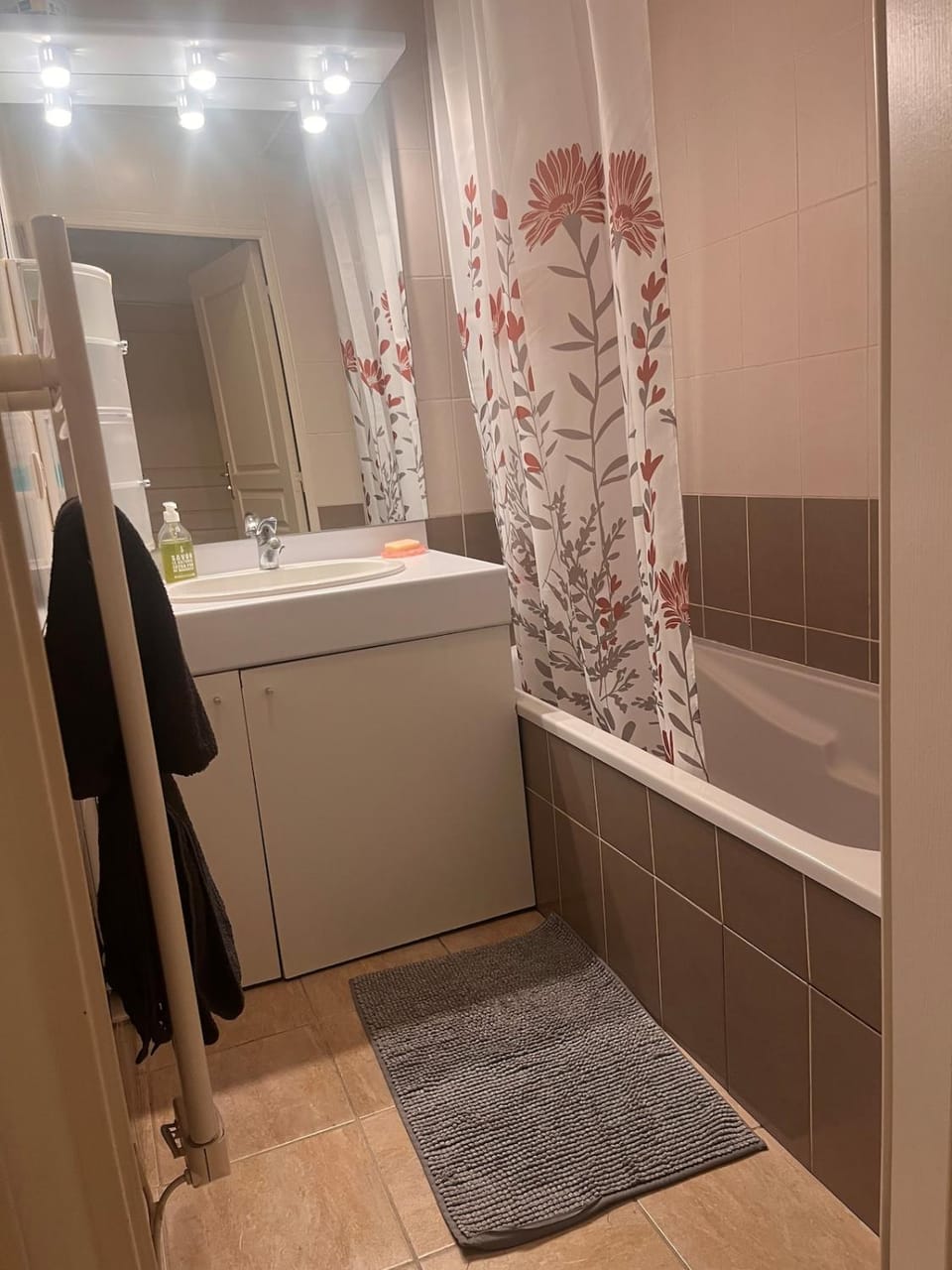 Logement spacieux proche de Lyon Apartment in Villeurbanne
