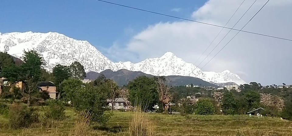 Belmont home stay House in Punjab, India