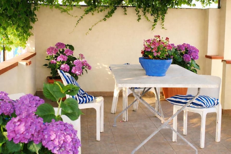 Garden, Dining area, Garden view