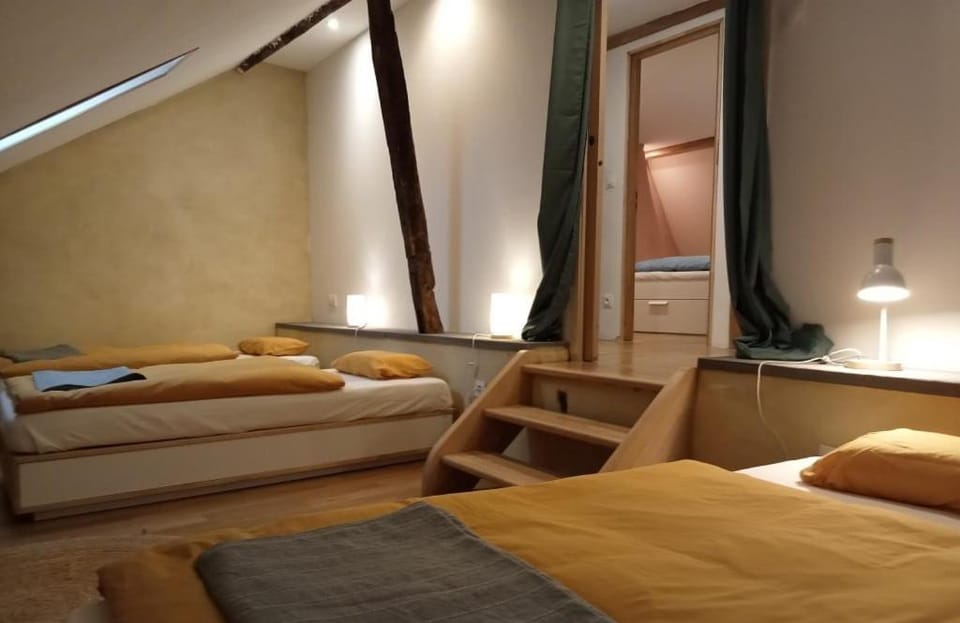 Grande maison conviviale dans centre historique House in Auvergne-Rhône-Alpes