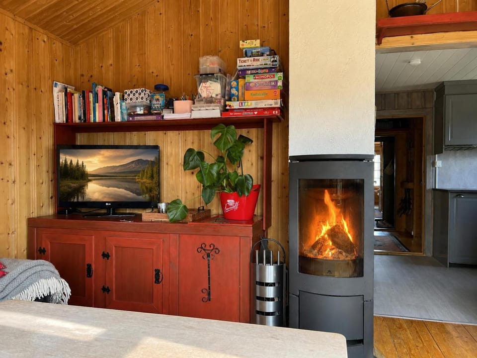 TV and multimedia, Photo of the whole room, fireplace