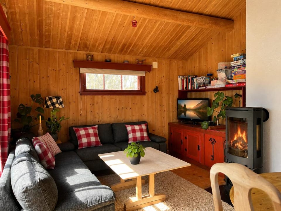 TV and multimedia, Living room, Seating area, fireplace
