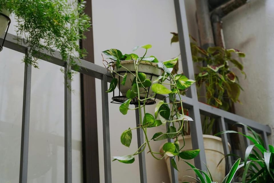 Mochi House NTH Apartment in Hanoi
