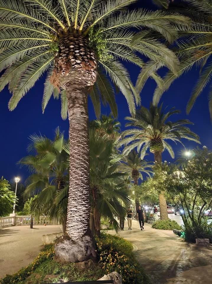 Natural landscape
