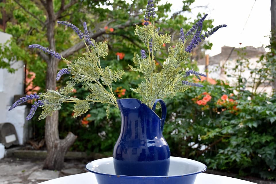 Garden, Garden view