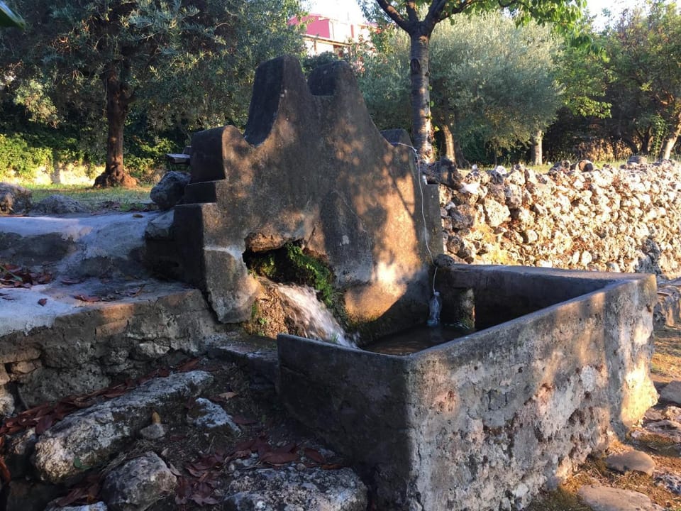 Day, Garden