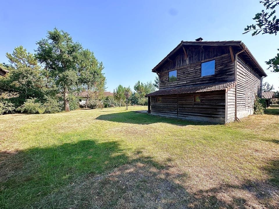 Natural landscape, Garden, Garden view