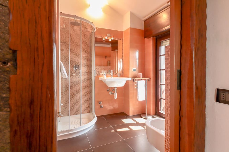 Shower, Bathroom, bidet