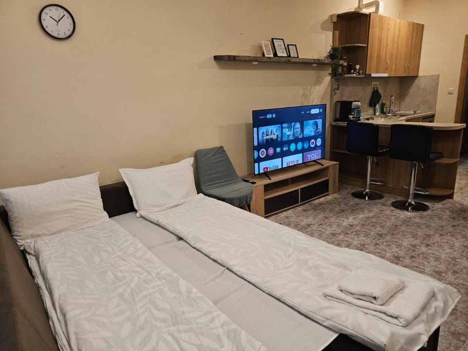 Bed, TV and multimedia