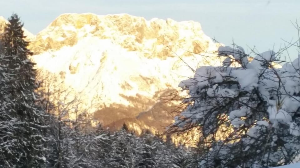 FeWo Untersberg 38m im Lehnhäusl Apartment in Berchtesgaden