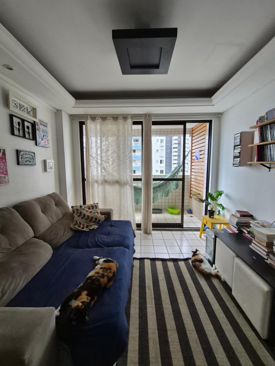 Library, Living room, Seating area