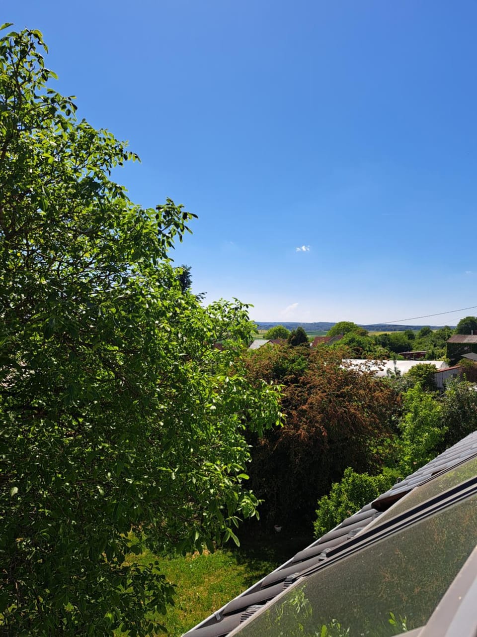 View (from property/room)