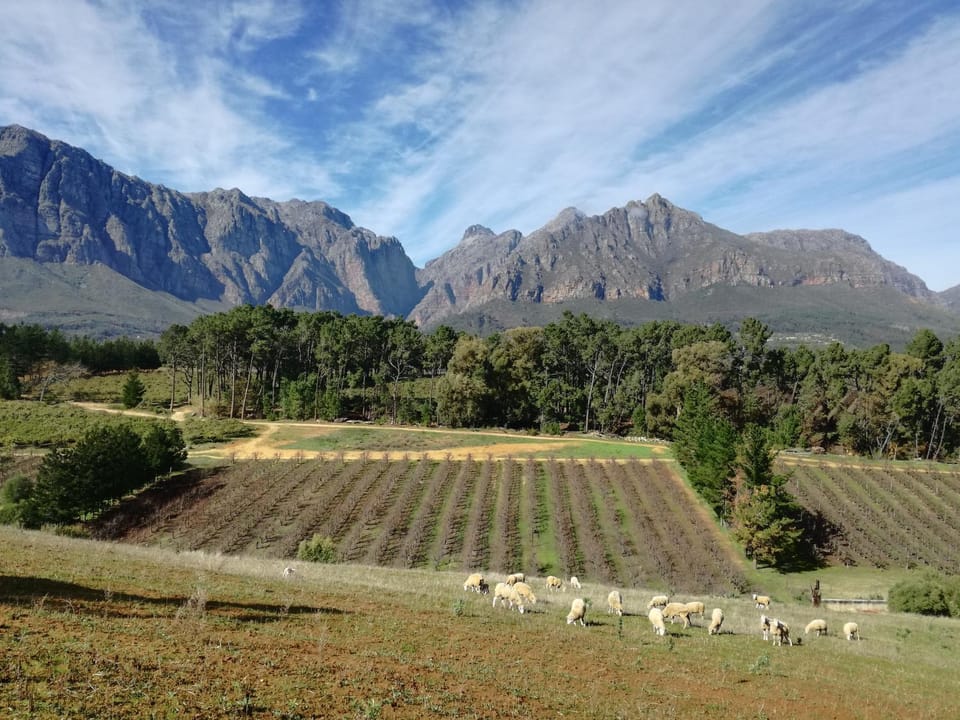 Natural landscape