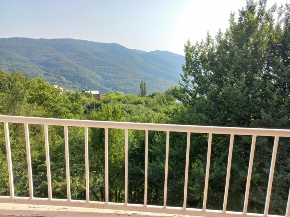 Buriani Forest Escape - Three floor house Apartment in Georgia